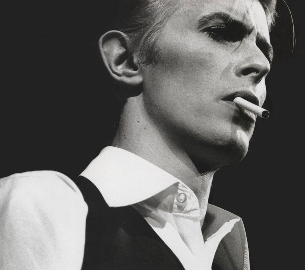 Иллюстрация к песне Cat People (Putting Out The Fire) (David Bowie)